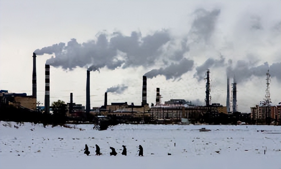 崔守军基金会,崔守军全球能源