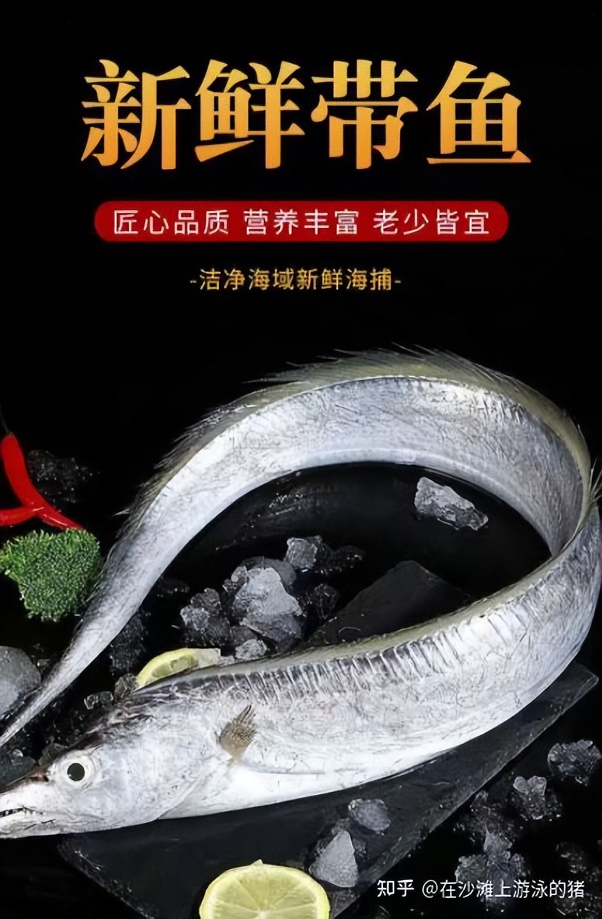 舟山海鲜带鱼几月最便宜,舟山带鱼真正的舟山带鱼