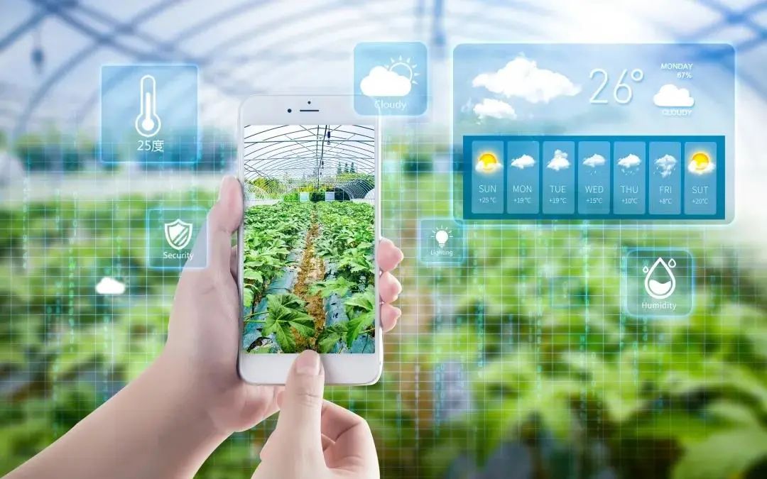 四情监测是什么意思,农业四情监测系统