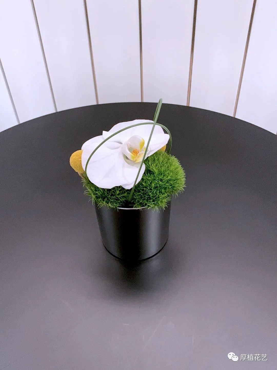 商务前台鲜花,前台花选择