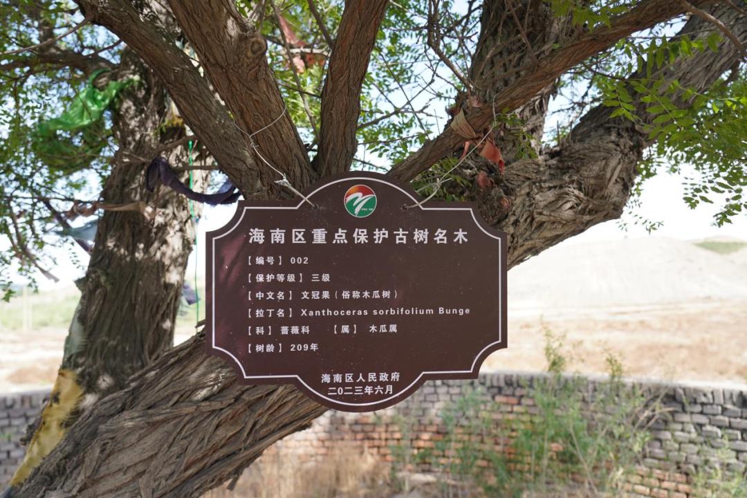 央媒网友热议,央媒密集关注点赞福建