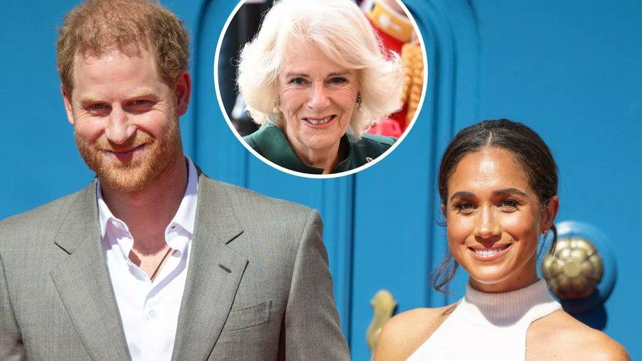 哈里的书都写了啥,哈里王子自传爆料