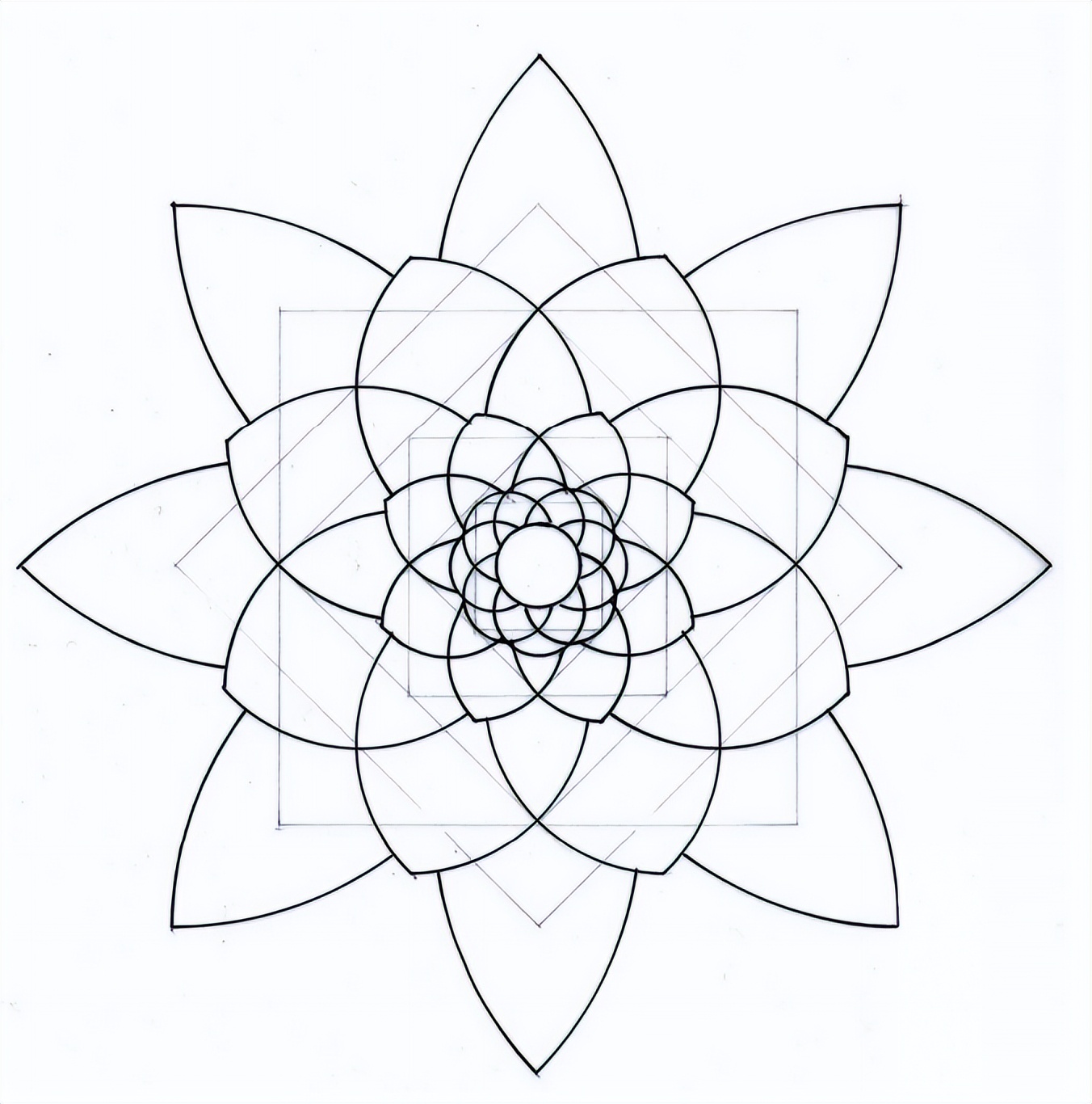 几何之花2：圆的内部分裂