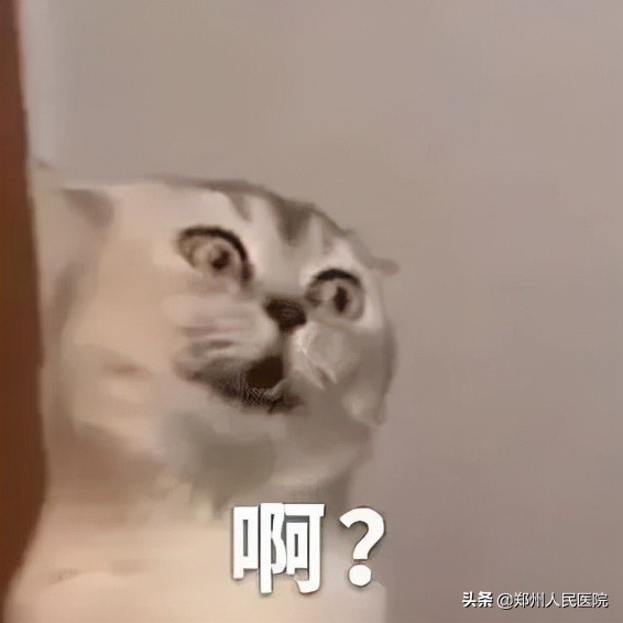 99块一支的牙膏真的好用么,5块钱的牙膏和50元的牙膏有区别吗