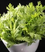 春分几月几日,春分节气适合穿啥衣服