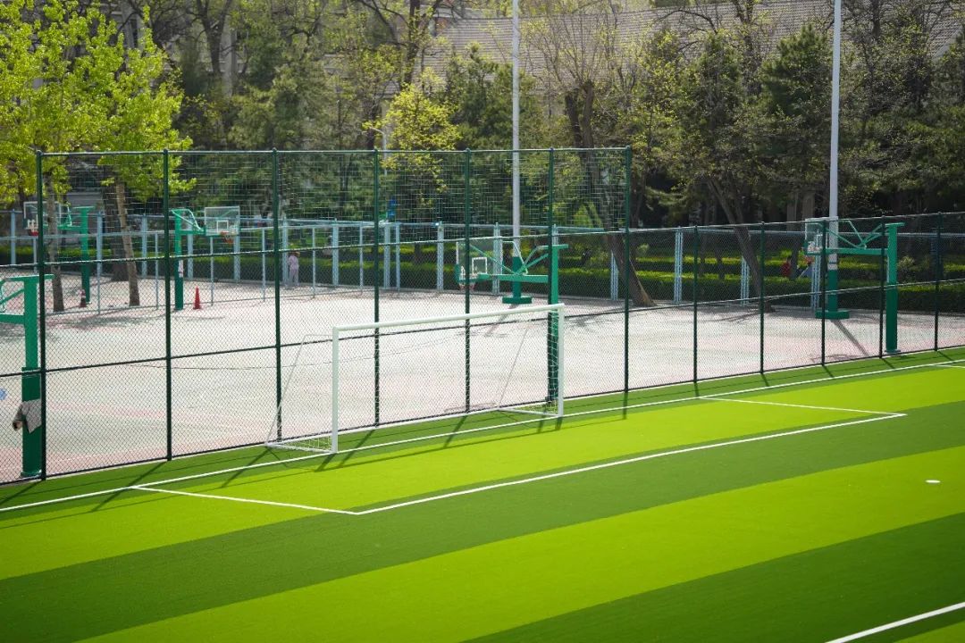 足球场改造扩建,最新足球场开放