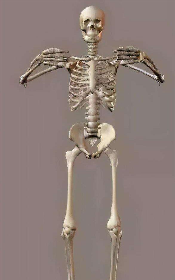 太极拳的松是阴还是阳,什么是太极拳的松