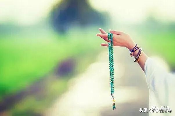 两只悠闲自在的乌龟,两只互动性很强的小乌龟