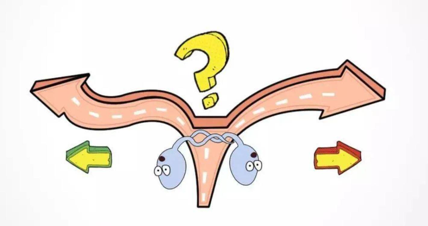 太心酸了：进入女性体内后，精子可能会被“累死”！看完别笑