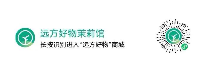 有机土鸡蛋介绍,有机土鸡蛋深山