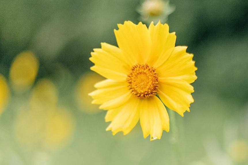 爱一个人的最高境界其实就一句话,爱一个女人的最高境界是什么