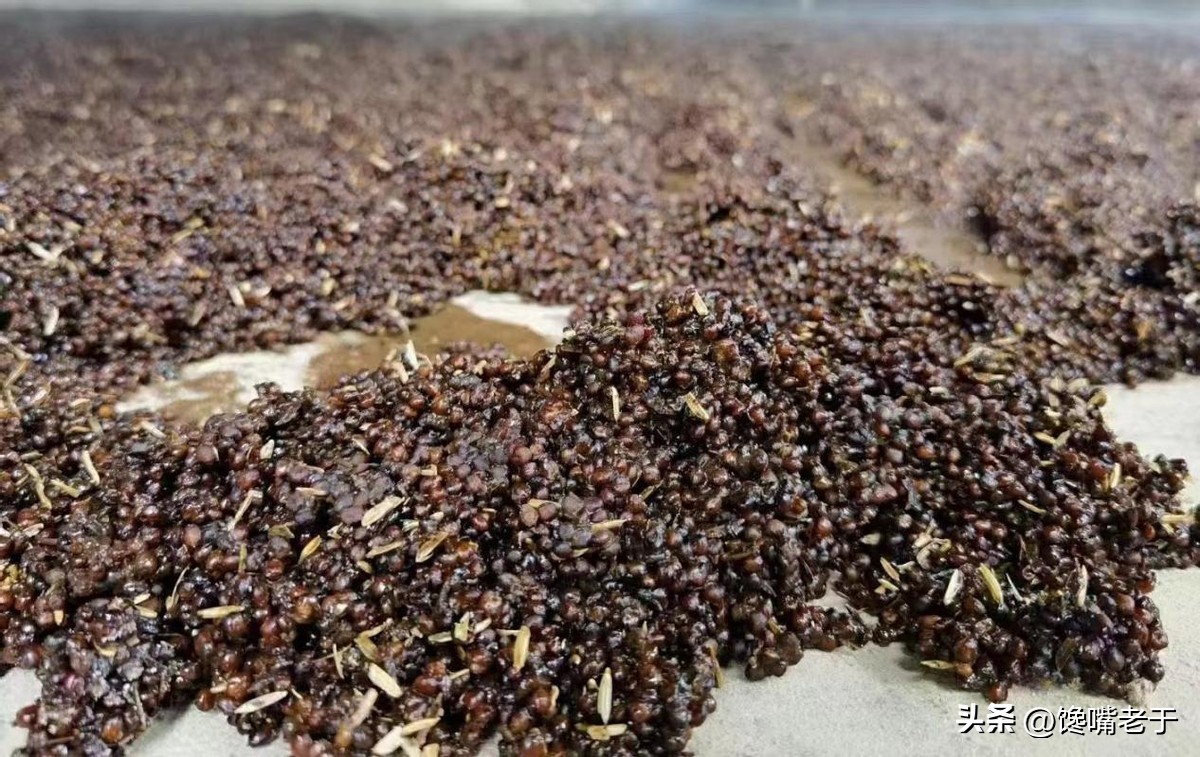 洋河酒厂每年总产量,洋河酒厂的真实传说