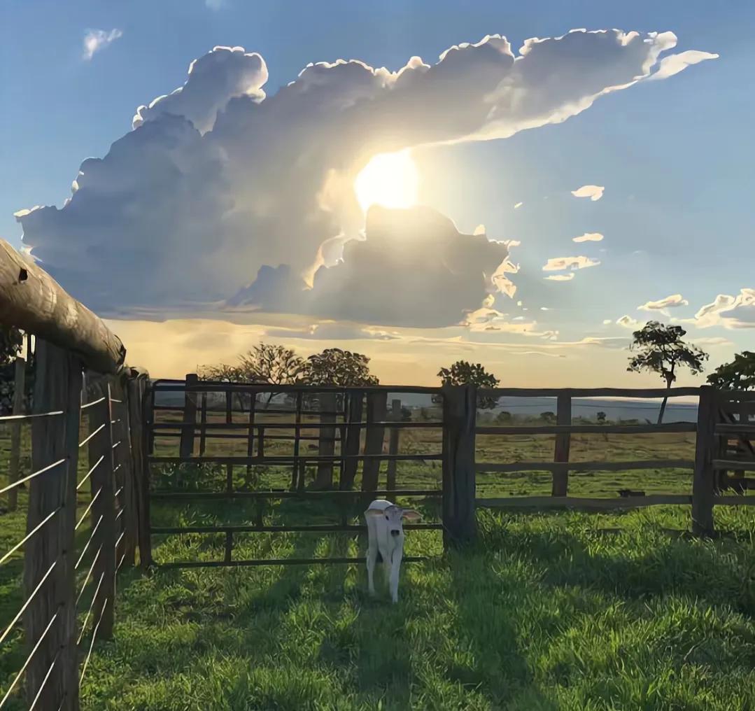 精炼出40条人情世故的道理，希望你越早明白越好