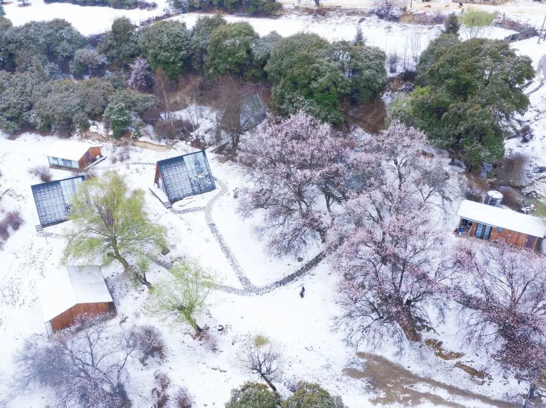 宝“藏”美宿评选活动丨有没有一间美宿，让你为*藏西**怦然心动？
