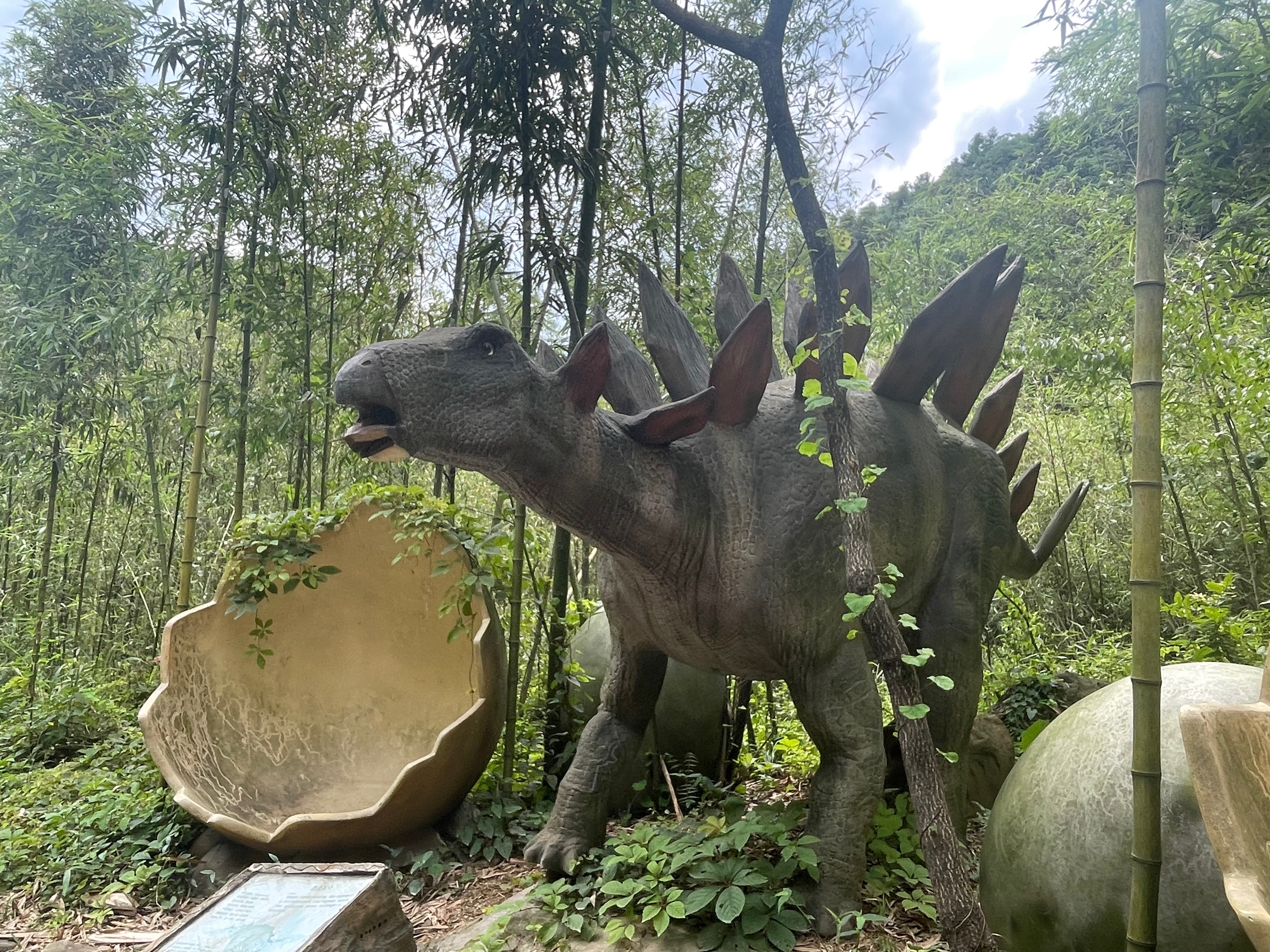 杭州避暑游玩的好地方在哪里,杭州桐庐天子地风景区