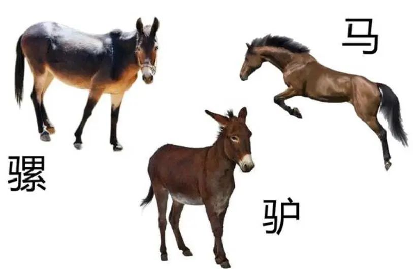 多灾多难，我们的未来还会好吗？