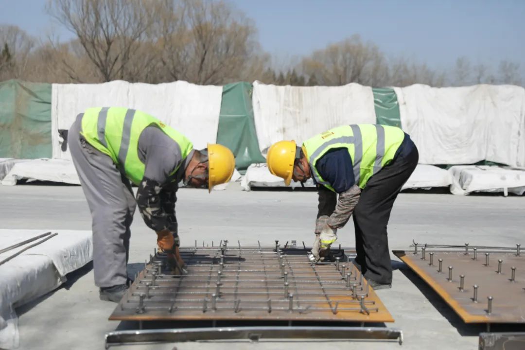 文林峰,文林峰简历
