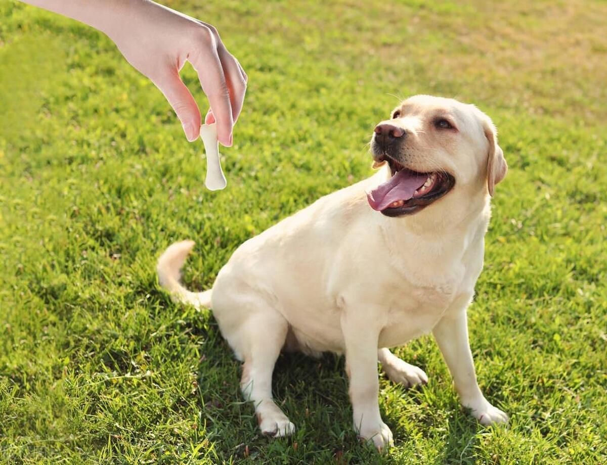 迎亲队伍穿鬼子军服,*刀刺**挂膏药旗,是无心之举还是愚昧无知?