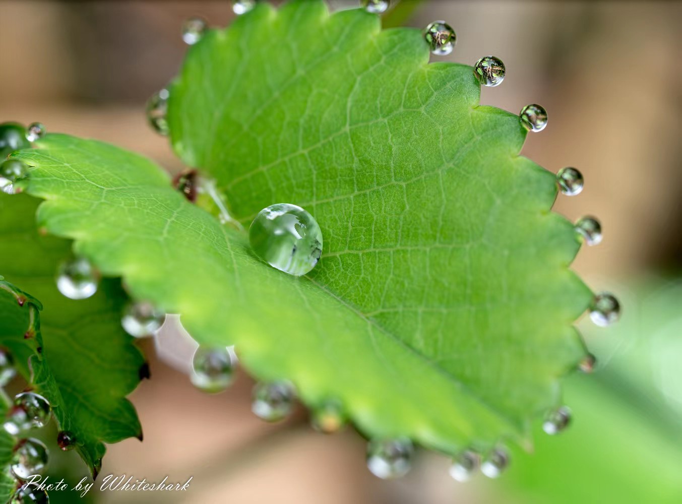 阳了少晒阴着莫慌