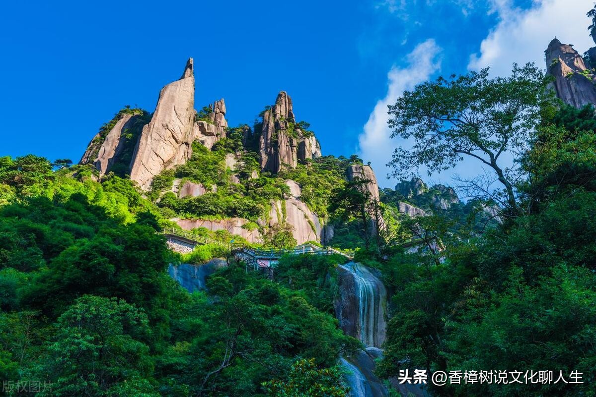 种菜是一种乐趣摘菜是一种心情,阳台小菜园种菜的乐趣说说