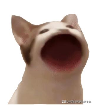 popcat回收,电脑怎么做popcat回收站