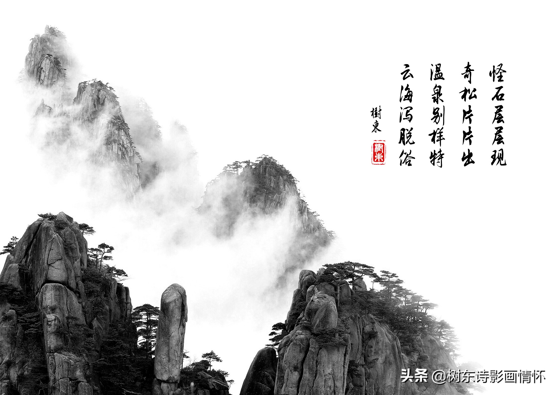 大雪压青松，青松挺且直，松在中华文化中象征着一种精神