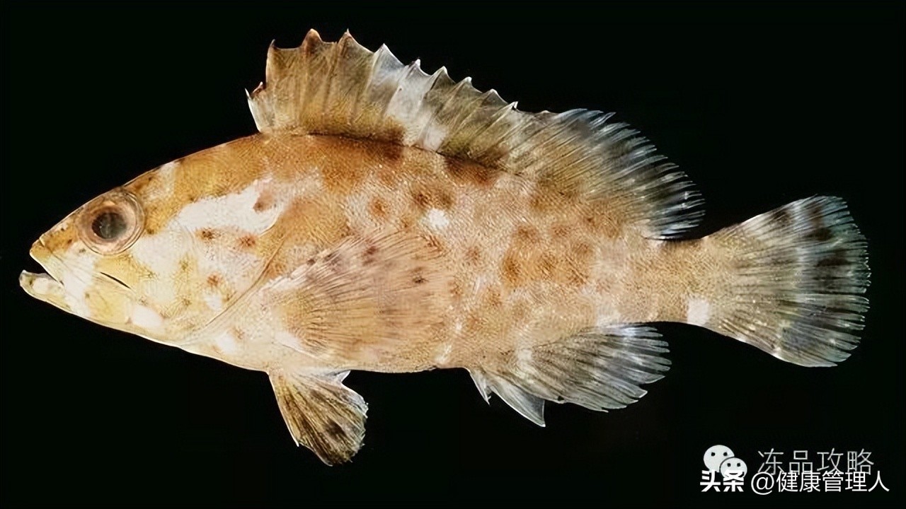 美容护肤食疗方案,美容护肤养生介绍