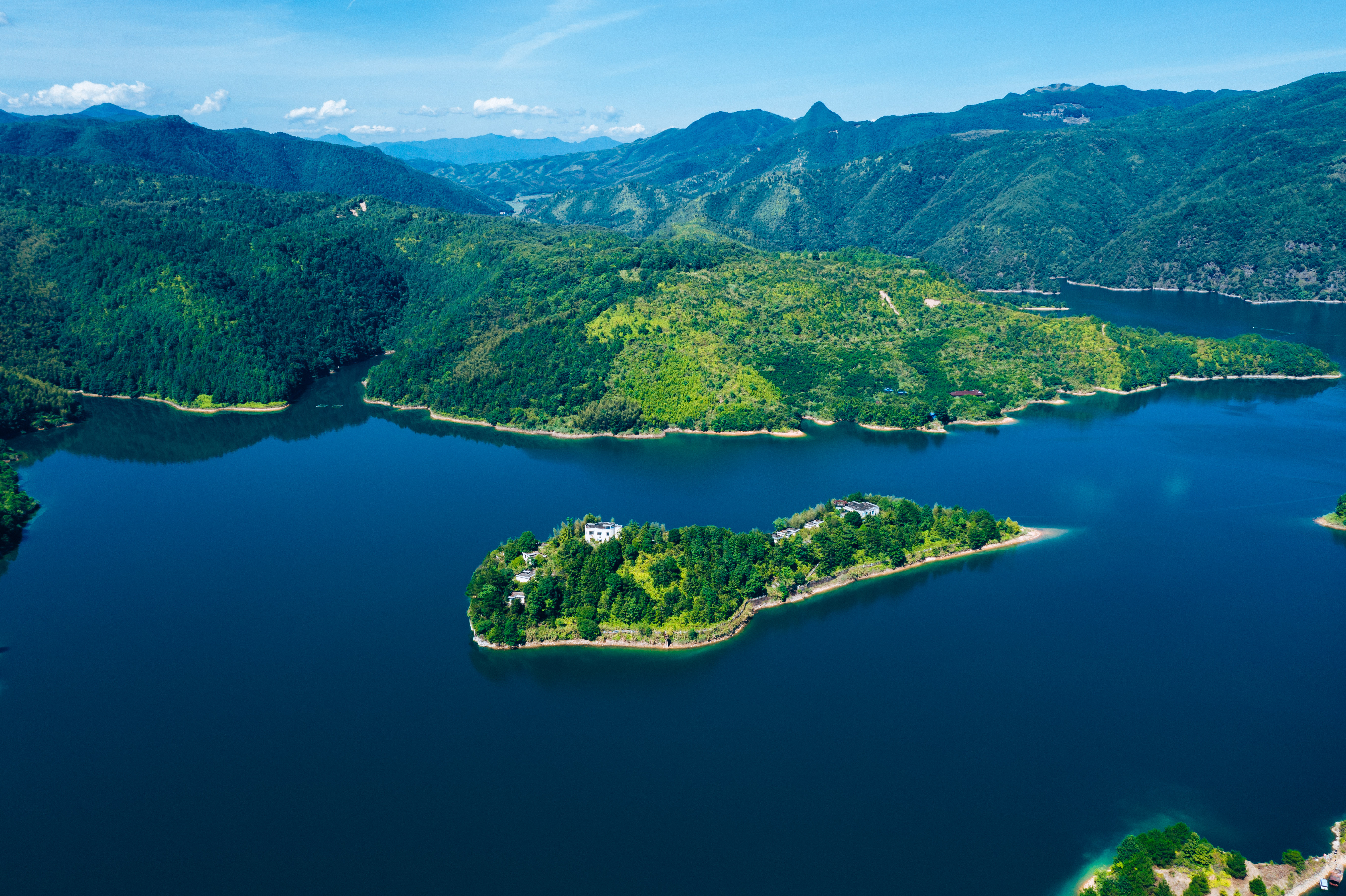 行游五府山：解密3宝，山野美味游走舌尖，传递平实的幸福