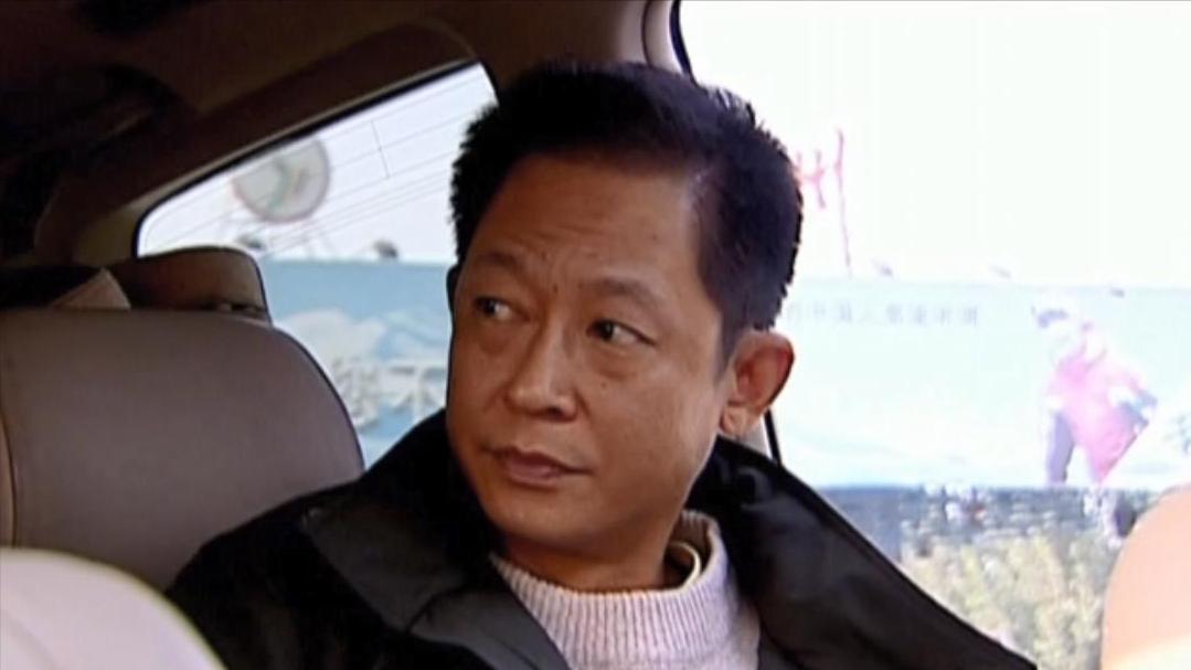 天道林雨峰跟丁元英的会面后续,天道赵青和林雨峰一起谈论丁元英