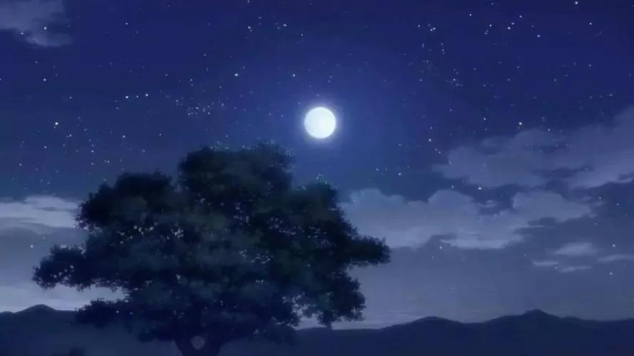 飞花令雨字诗句1000句,飞花令诗词大全doc