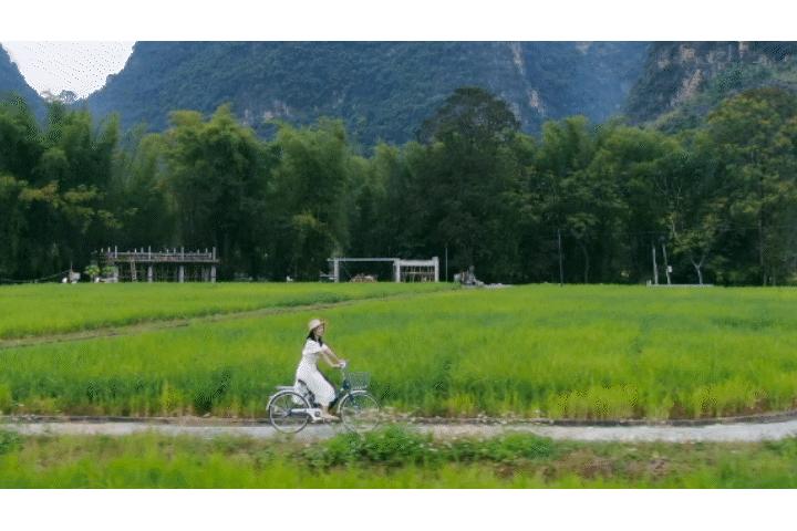 明仕田园风景区国庆节风景,广西明仕田园之旅