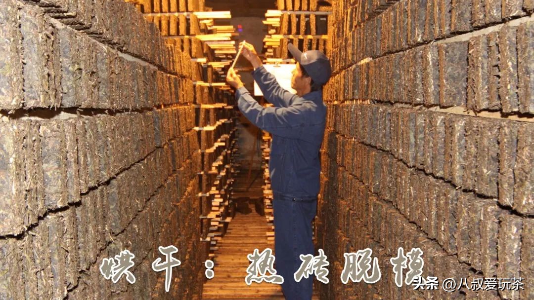 青砖茶为什么这么多,永巨青砖茶