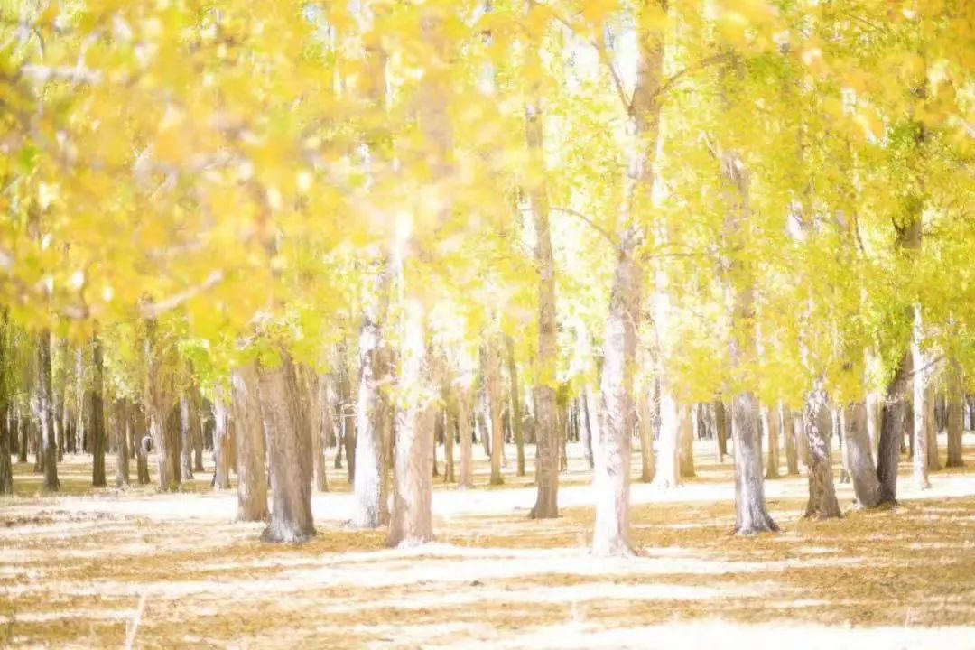 现在拉萨最火的地方,实话实说拉萨附近最值得玩的地方
