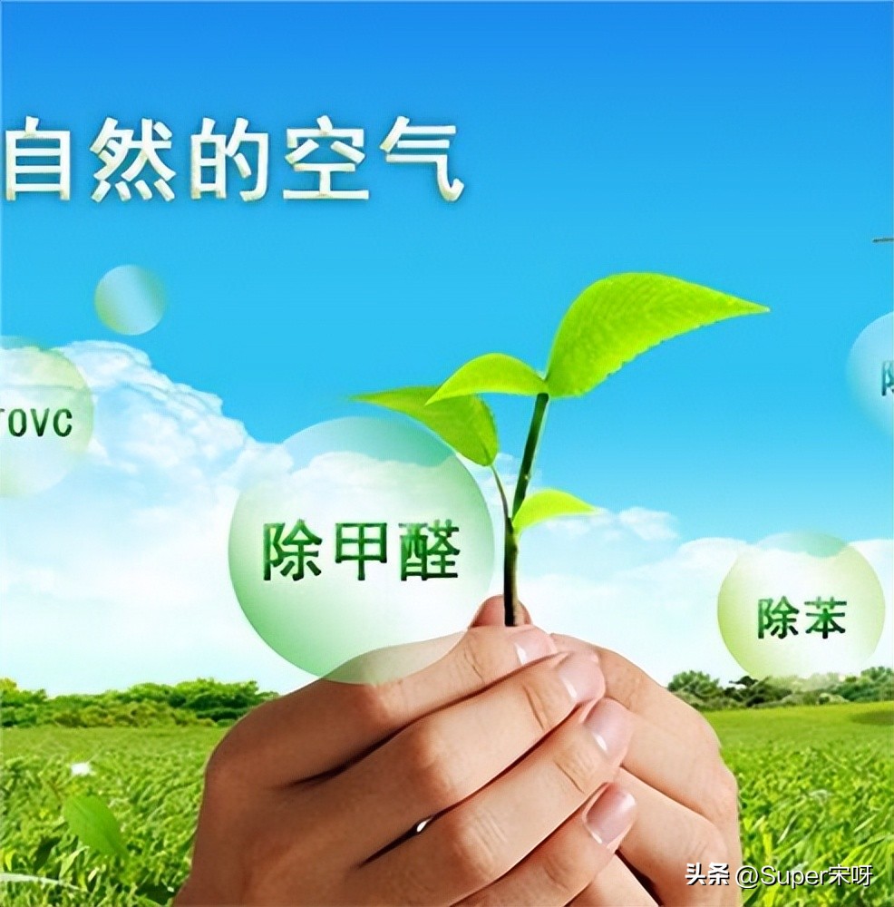 新车除甲醛哪种方法最好,新车有甲醛吗怎么去除