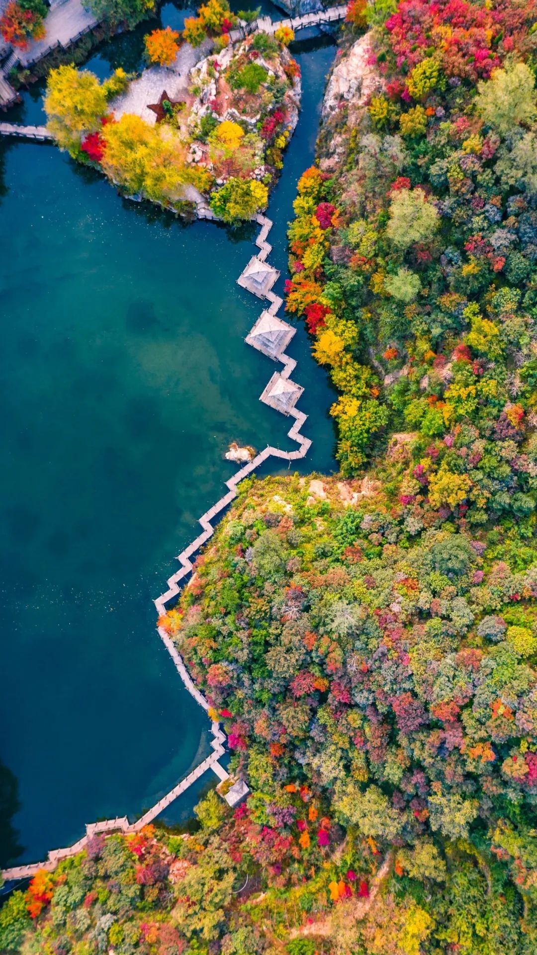 济南元素再一次火爆“出圈”！省长推介的诗意济南是什么样子的？