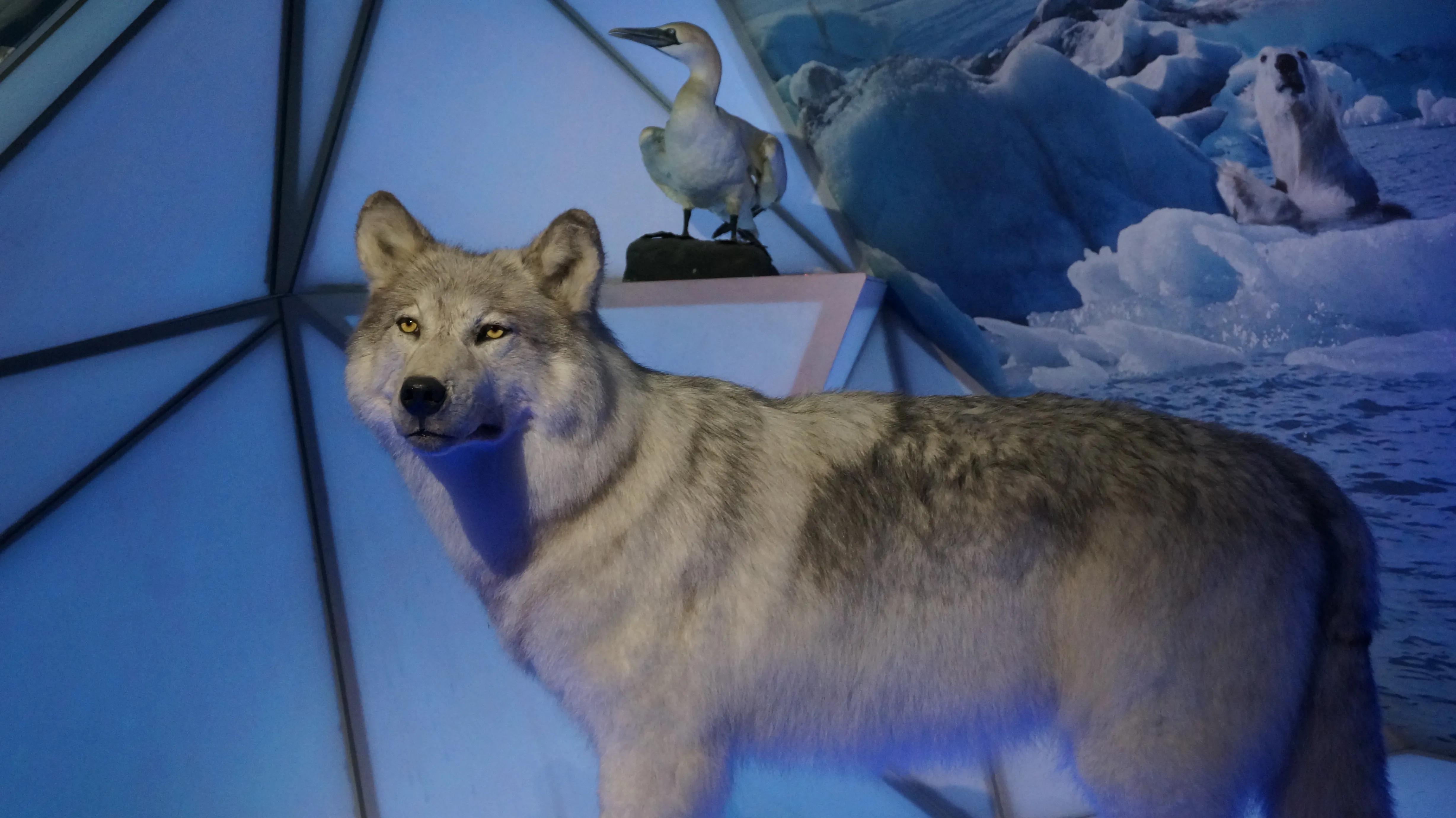 天津2天1晚游攻略夏天,天津2天1夜游攻略