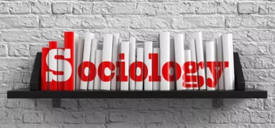 社会学专业其实很好,学社会学专业有出路吗