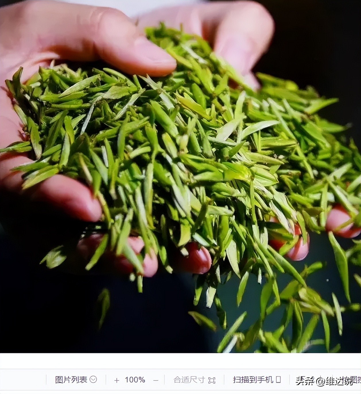 买茶叶需要看哪些认证标志,买茶看日期还是配料日期