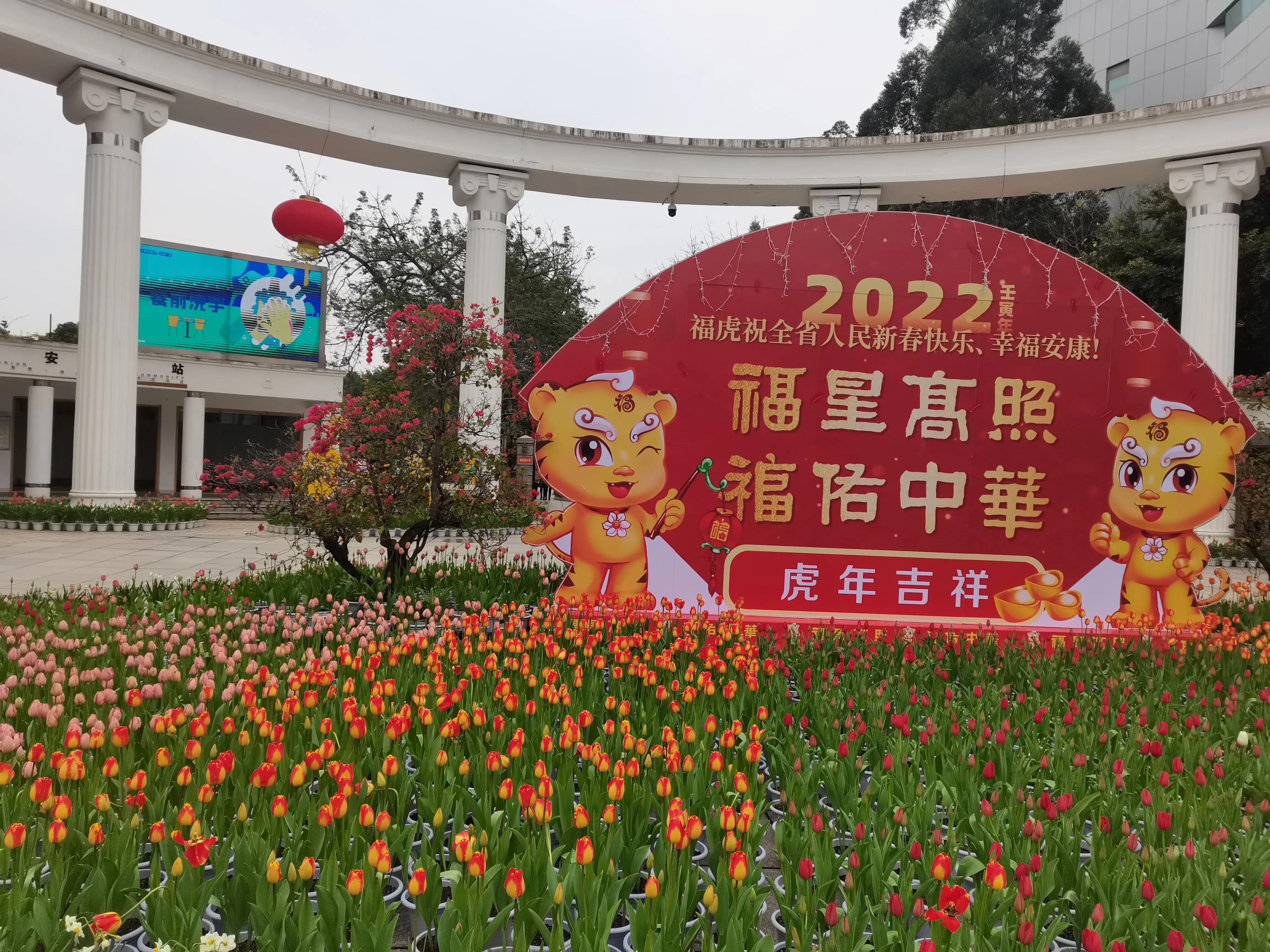 福州郁金香温泉公园,福州花海公园郁金香