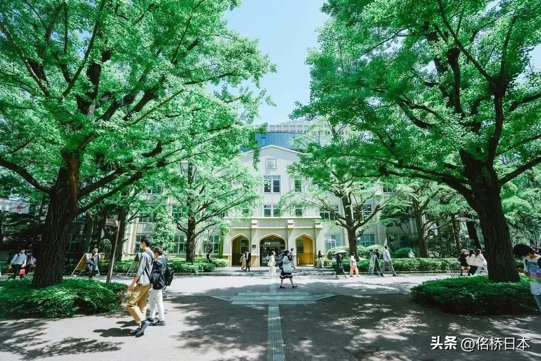 日本人气最高的私立大学排名,日本大学排名一般名气却大的大学