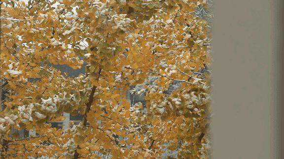 入住城堡酒店,入住太湖瑞峰酒店