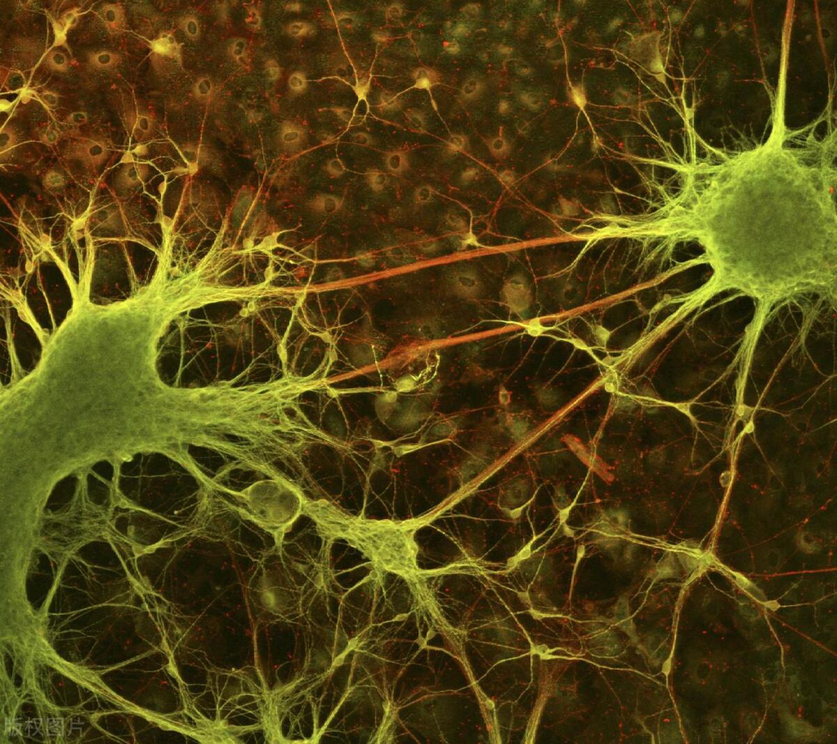 肝癌患者大小便失禁怎么回事,肝癌晚期大小便不通怎么办