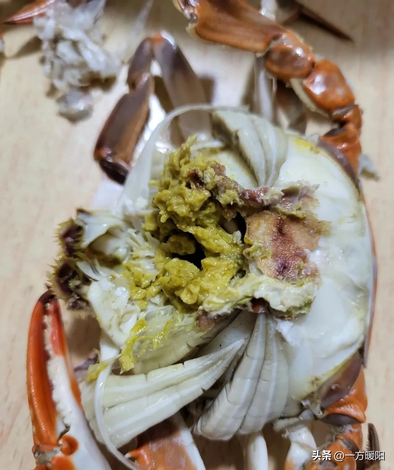 开海了一大波新鲜海鲜已上市,开海了一大波肥美海鲜正在上岸