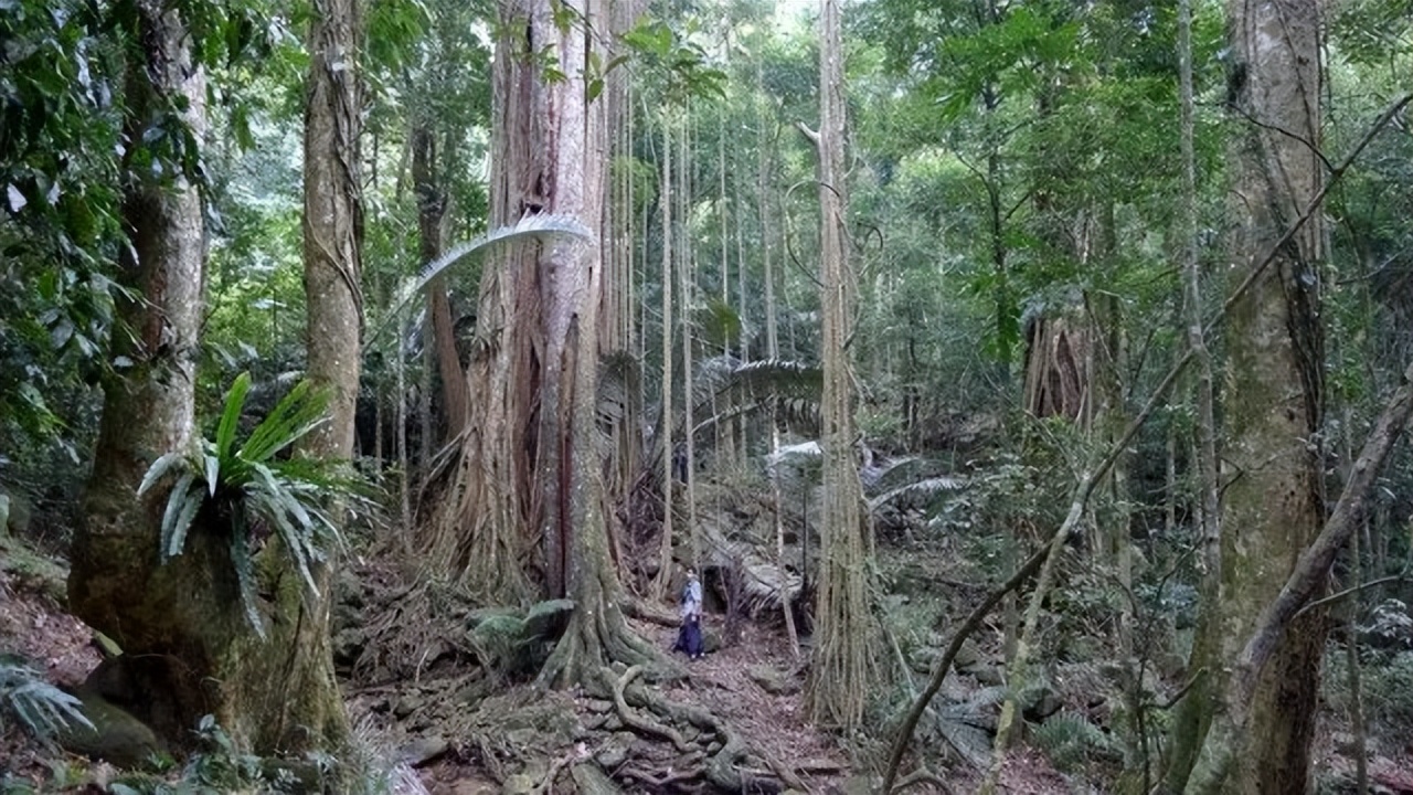亚马逊河的可怕之处,亚马逊为什么是人类的禁地