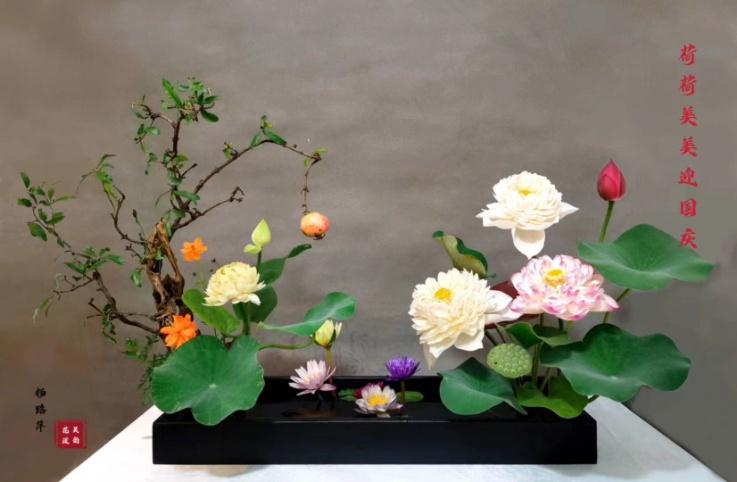 荷花种植什么品种好看,荷花种植范围有哪些品种