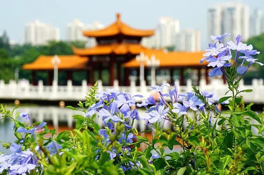 深圳市荔枝公园一日游,深圳2天1夜旅行攻略