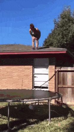 100个难得一见照片，砍伐巨树，运输军舰的巨轮，治疗风湿病的熊