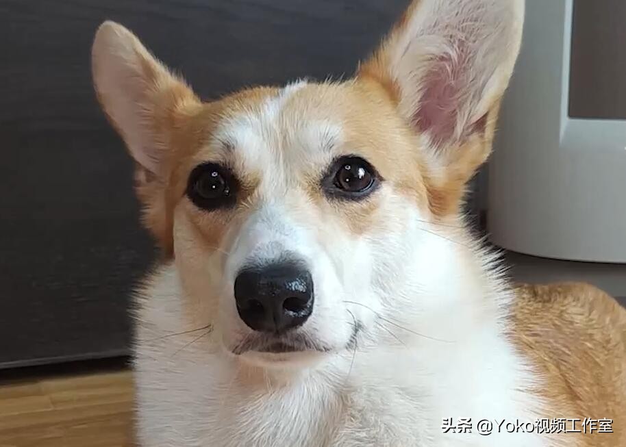 电脑网购哪个平台最好买,网购电脑哪个平台最靠谱