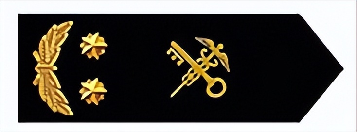 海关关衔图解,海关使用一年期关衔标志