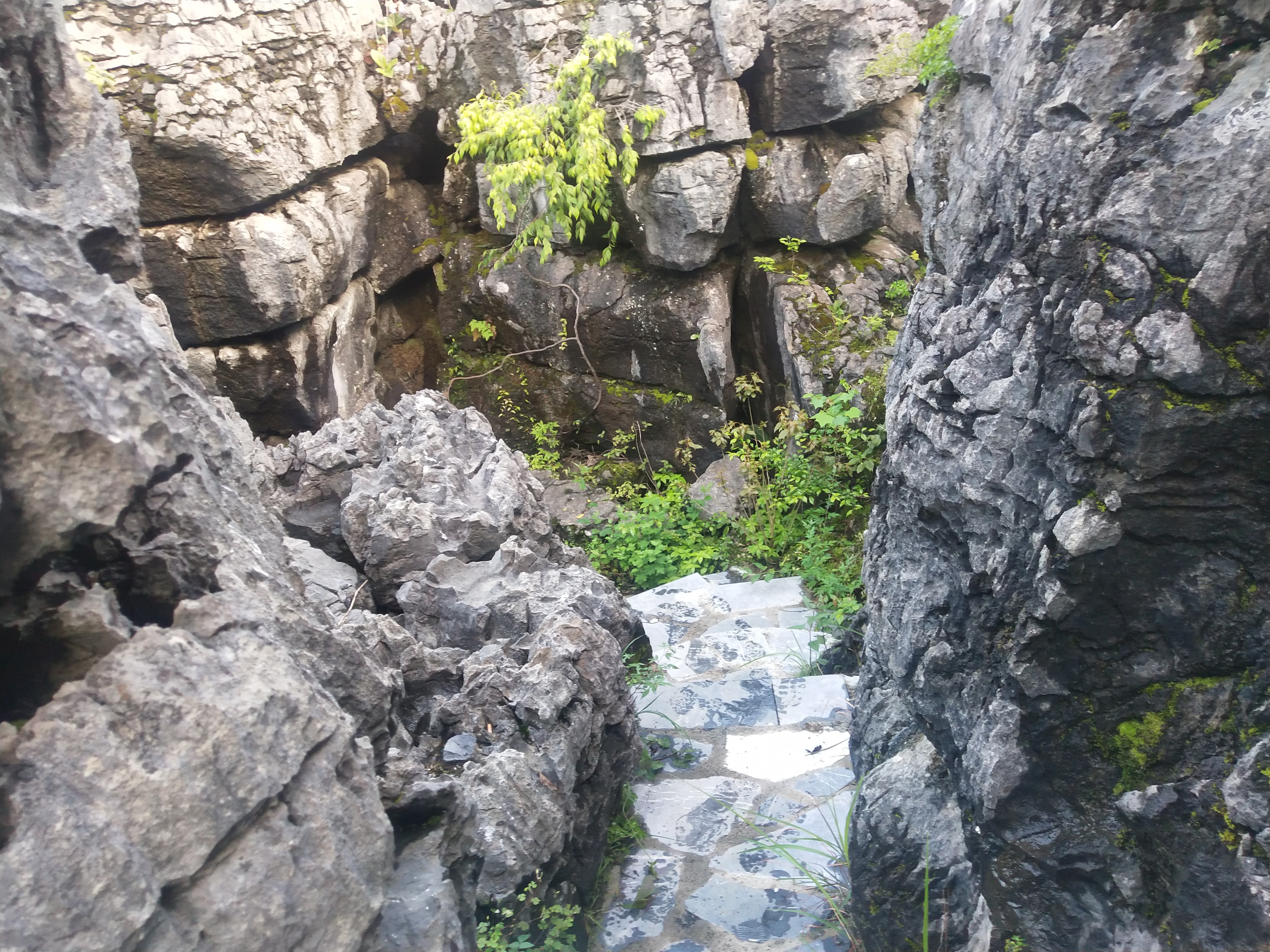 2020灌阳文市石林要门票吗,灌阳文市石林景区门票是多少